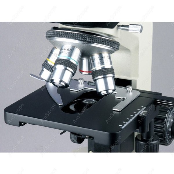 AmScope Biological Binocular C - Microscope Compound 40X 评论和价格