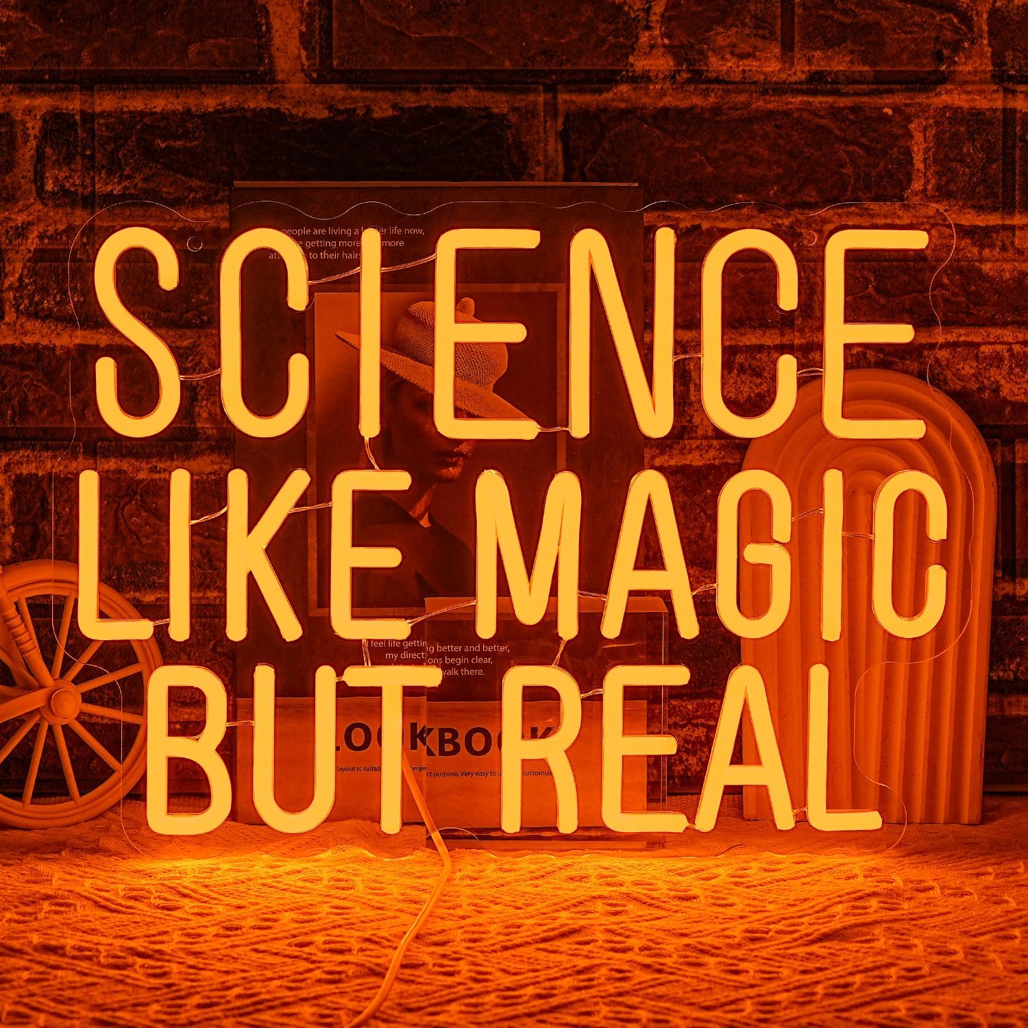 Science Like Magic But Real Ne - Science Hobbyist 评论和价格