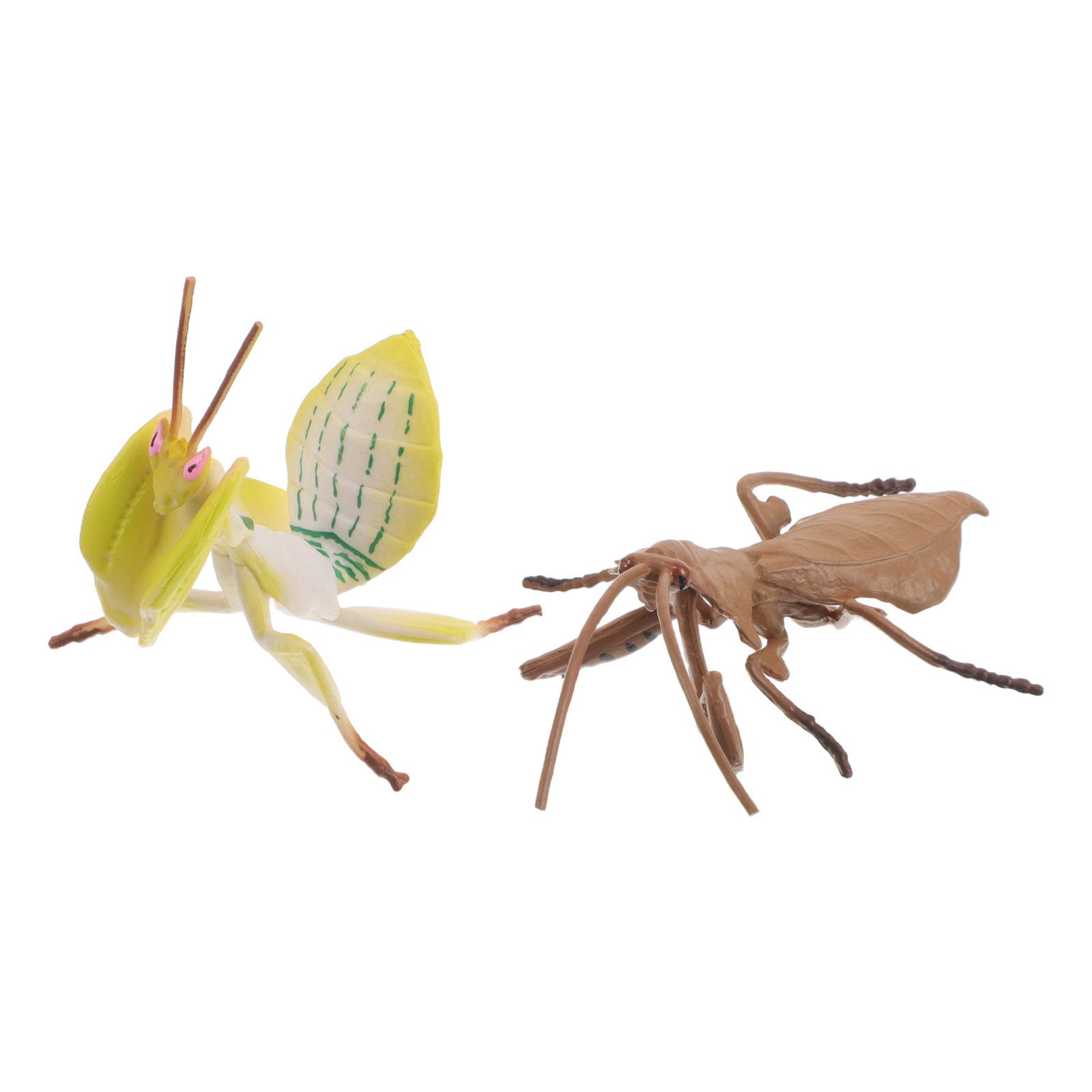 2Pcs Realistic Praying Mantis  - Science Toy 评论和价格