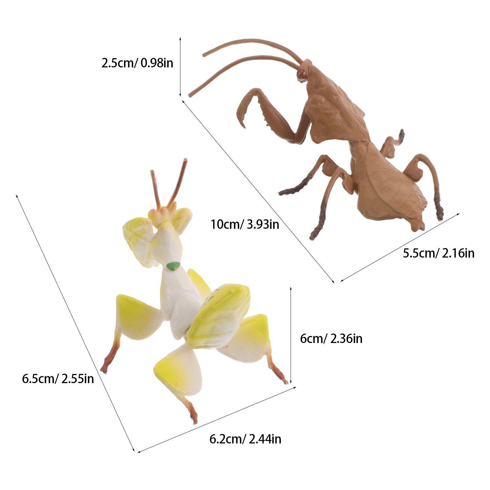 2Pcs Realistic Praying Mantis  - Science Toy 评论和价格