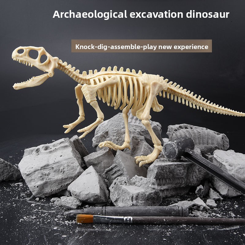 Dinosaur Fossil Excavation Kit - Science Toy 评论和价格