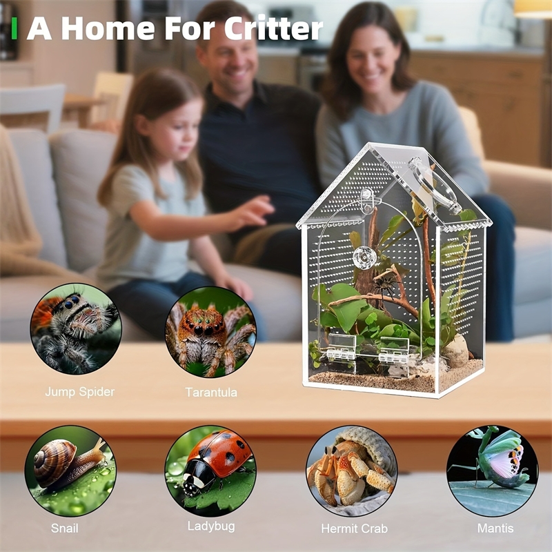 Transparent Acrylic House Inse - Science Hobbyist 评论和价格
