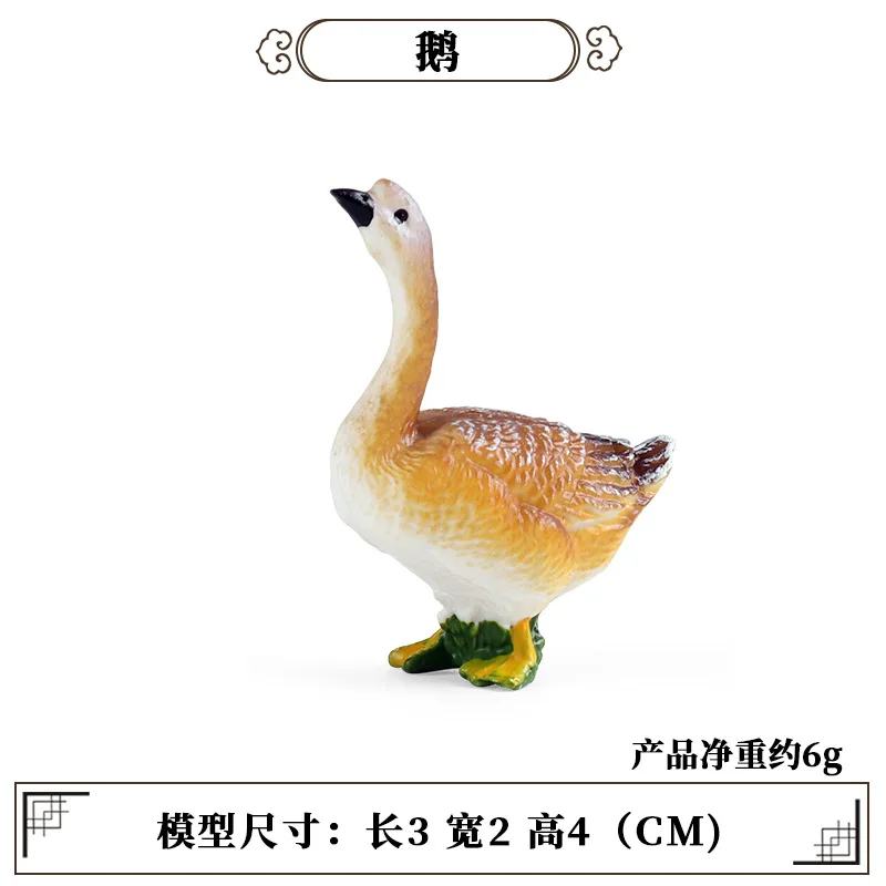 Education Teaching Tool Poultr - Science Toy 评论和价格