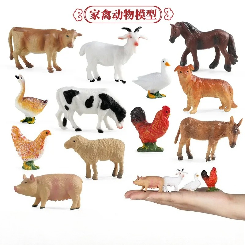 Education Teaching Tool Poultr - Science Toy 评论和价格