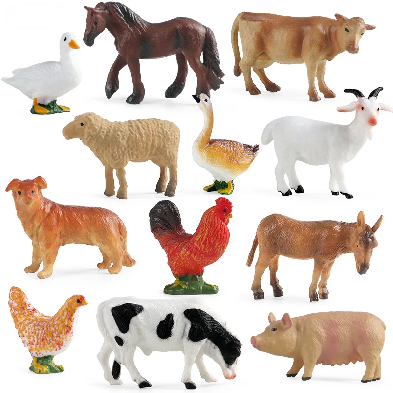 Education Teaching Tool Poultr - Science Toy 评论和价格