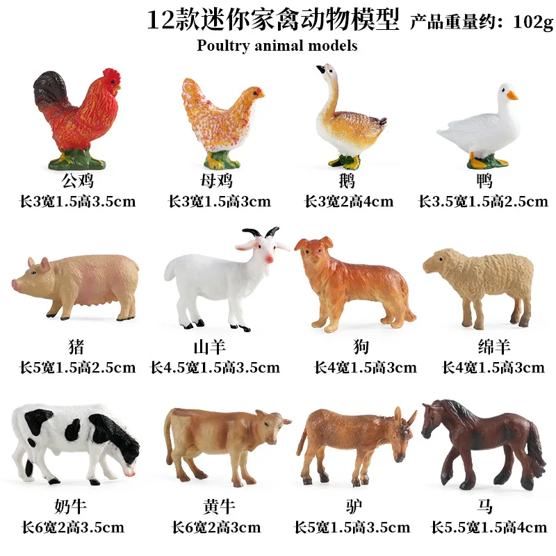 Education Teaching Tool Poultr - Science Toy 评论和价格